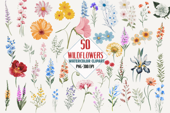 50 Wildflower Watercolor Clipart PNGs for Creative Projects