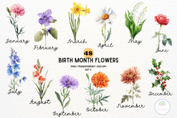 Birth Month Flower Botanical Clipart: Your Design Toolkit