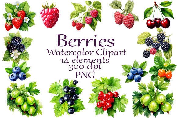 Brighten Your Designs with Watercolor Clipart Summer Berries