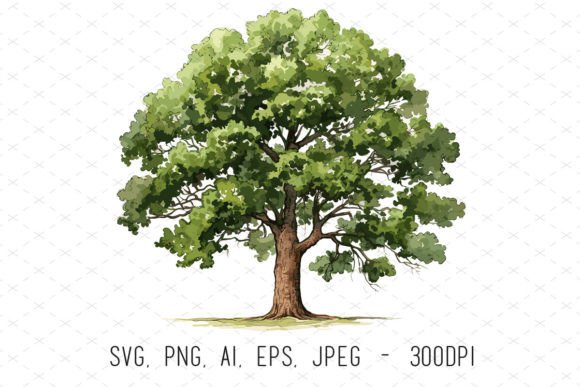 Hand Drawn Oak Tree Sublimation Clipart for Creative Projects