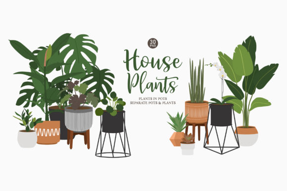 Indoor House Plant Clip Art: 30 High-Quality PNGs for Your Projects