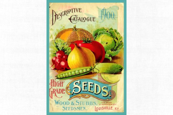 Rediscovering Vintage Seed Catalog # 104 for Modern Design